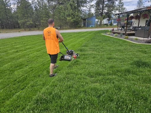 Before First Mow on New Sod Installation in Chattaroy, WA